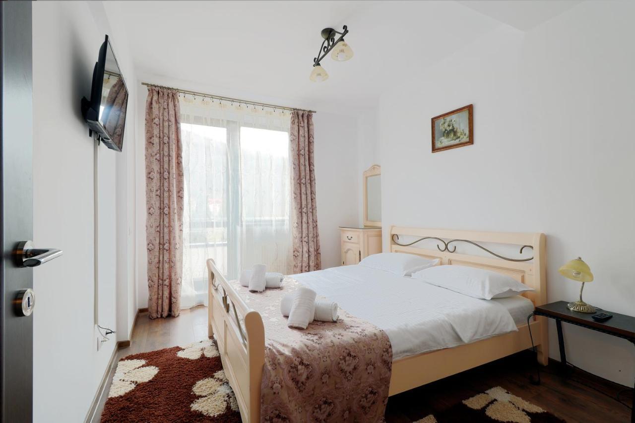 Sofia Apartment Σινάια Εξωτερικό φωτογραφία